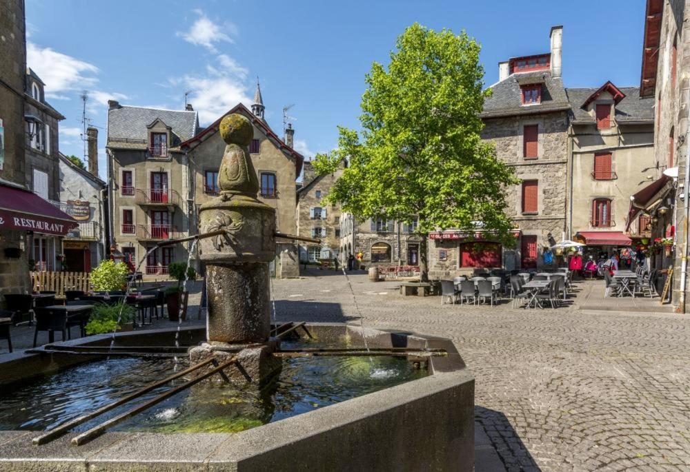 Grande Maison Dans La Cite Medievale De * Besse-et-Saint-Anastaise